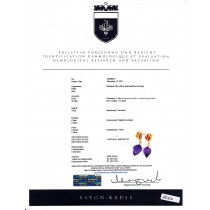 Stamped 10K yellow gold amethyst earrings with appraisal US$1100
