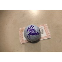 Peter Jacobson Actor House Cars Transformers Signed Autographed Golf Ball w/coa $150 Retail